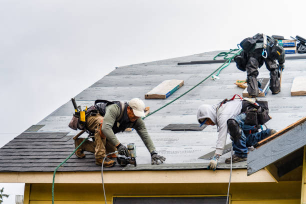 Professional Storm Damage Roof Repair technician working in Wyoming, IA
